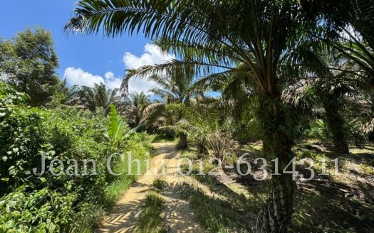 A14D6B5C Bc68 4331 9649 6Bdfd70A092F