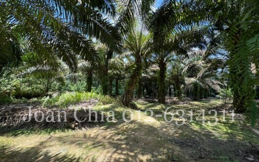 Kulai Agriculture Land For Sale (古来农业土地出售）