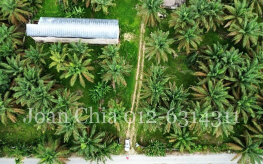 Kulai (5 Acres) Agriculture Land Batu 29 古来土地出售 29里
