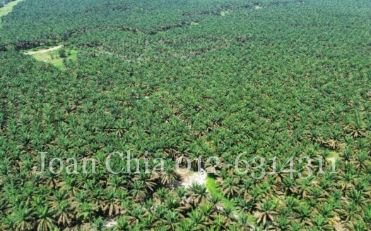 Kulai (20 Acres), Jalan Felda Inas Agriculture Land 古来土地出售