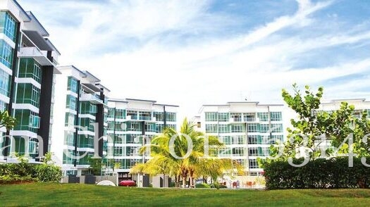 440203350 932643318864610 3316770347714703405 N