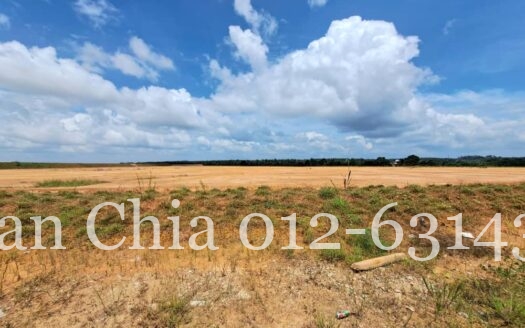 Gelang Patah @ Jelutong, Agriculture Land 8.962 Acres 振林山农业地出售
